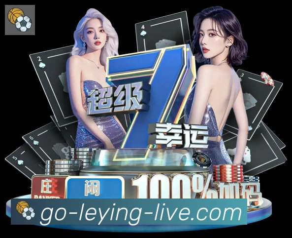 未来规划